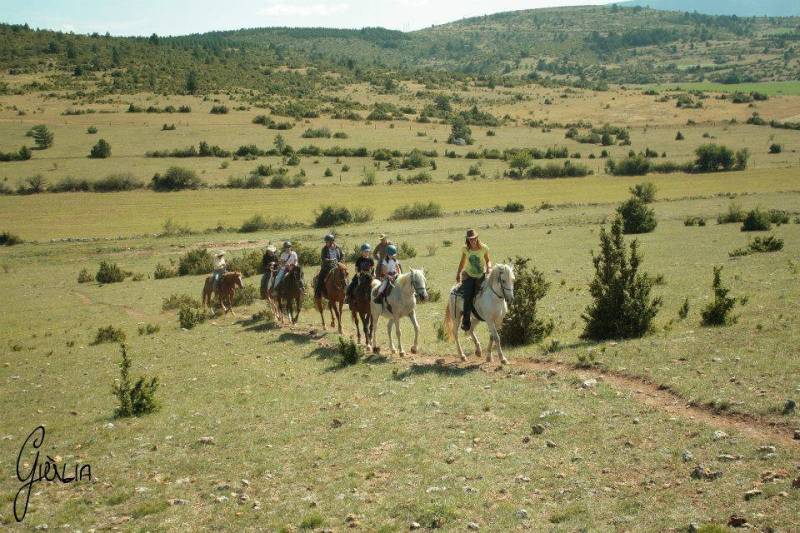Tarif balade à cheval en pleine nature près de Montpellier dans l'Hérault