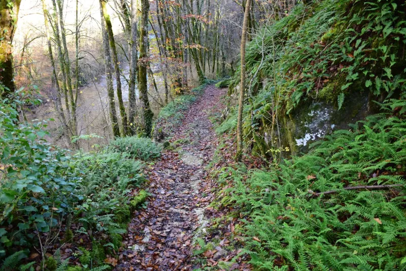Randonnée équestre avec rando ranch en aveyron