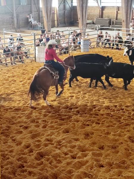 randonnée à cheval