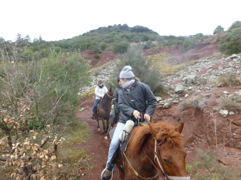 randonnée équestre avec rando ranch