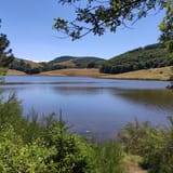 Lac des pises randonnée à cheval au mont Aigoual