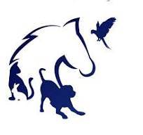 clinique vétérinaire de rando ranch