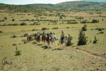 Nos prestations sur le secteur de Montarnaud vers Juvignac et Pignan