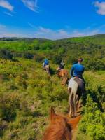 Notre zone d'activité pour ce service Pension de travail chevaux avec assistance soin vétérinaire et équipements modernes pour un suivi complet et personnalisé.