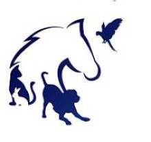 clinique vétérinaire de rando ranch